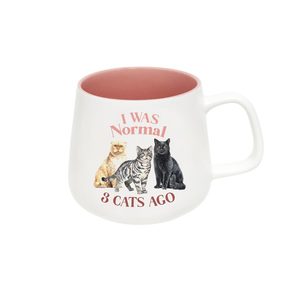 Cats: I Was Normal 3 Cats Ago Mug
