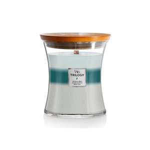 Medium Trilogy Soy Candle - Icy Woodland