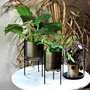 Roam Loom: Brass Planter Pot & Stand (Set of 2)