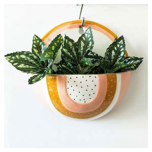 Urban Up20: Woodstock Rainbow Dot Wall Planter - Pink/Mustard