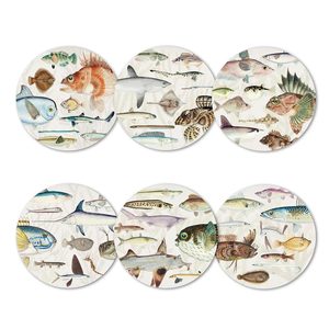 Fishes Of NZ Placemat Set/6