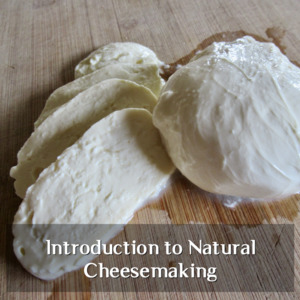 Introduction to Natural Cheese Making Workshop