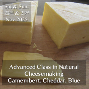 Advanced Class in Natural Cheese Making