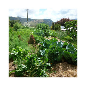 Organic Gardening with the Soil Food Web