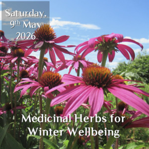 Workshops & Farm Tours: Using Medicinal Herbs for Winter Wellbeing 9th May 2026