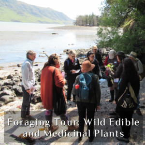 Foraging Tour: Wild Edible and Medicinal Plants
