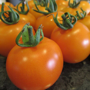 Tomato Tangella seeds