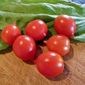 Tomato Riesentraube seeds