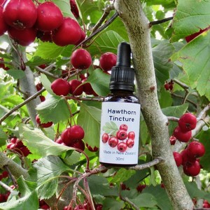 Hawthorn Tincture