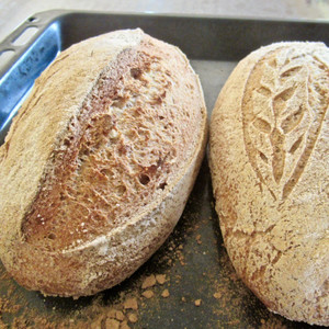 Gluten-free Sourdough Bread Baking Workshop