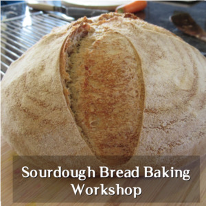 Workshops & Farm Tours: Sourdough Bread Baking Workshop