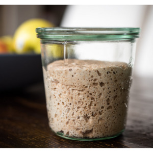 Culinary: Sourdough Starter for Baking Bread