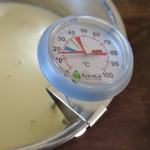 Culinary: Dairy Thermometer