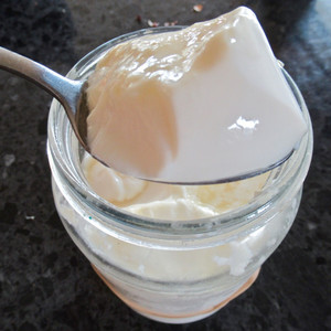 Culinary: Caspian Sea Yoghurt Starter Culture Shipment 4th May