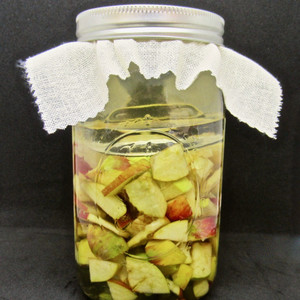 Culinary: DIY Apple Cider Vinegar Kit