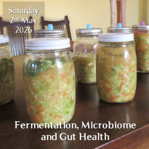 Workshops & Farm Tours: Fermentation, Microbiome and Gut Health Workshop 2nd May 2026