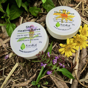 Natural Skin Care: Healing Salves Pack