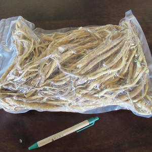 Fresh Horseradish Root 1kg unprocessed