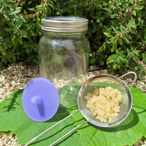 Water Kefir Kit