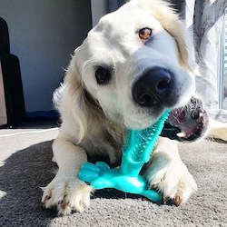 Dog Toothbrush Toy