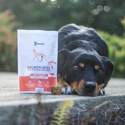 Best Sellers: Dog Salmon Bites