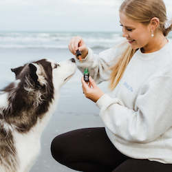 Best Sellers: Dog NZ Green Lipped Mussel Oil - For your dogs joints to help them run around