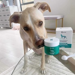 Dog Green Lipped Mussel Powder - For Mobility and flexibility of your dog's&hellip;