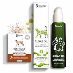 Cat Health Challenge Bundle