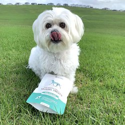 Best Sellers: Dog Omega-3 Mussel Treats