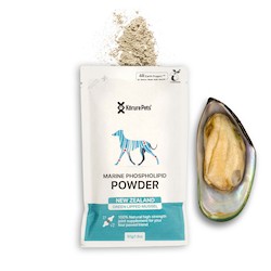 Products: Recharge * Dog Refill  - Green Lipped Mussel Powder