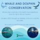 Donation for Whale and Dolphin Conservation