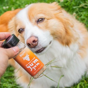 Growaov Subscriptions: Dog yum yum NZ Beef + Lamb