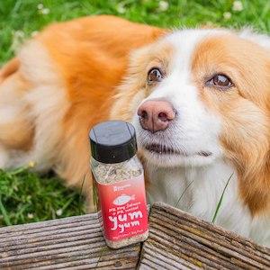 Yumyum: Dog yum yum NZ King Salmon + Mussel
