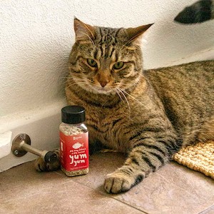 Products: Cat yum yum NZ King Salmon