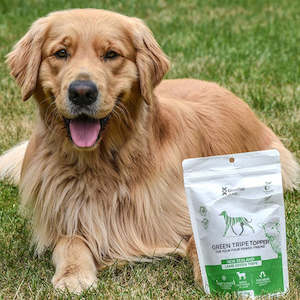 Green Tripe Topper for First Time Customers