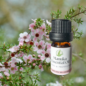MANUKA Essential Oil NZ, healing & protecting Sanflora Wellbeing