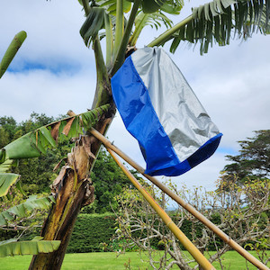 Products: Banana Bunch Cover Kotare Subtropicals