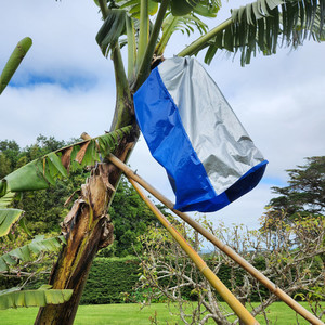 Products: Banana Bunch Cover Kotare Subtropicals