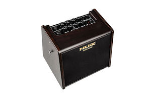 Guitars: NUX AC25 STAGEMAN 25 watt Portable Acoustic Guitar Amp