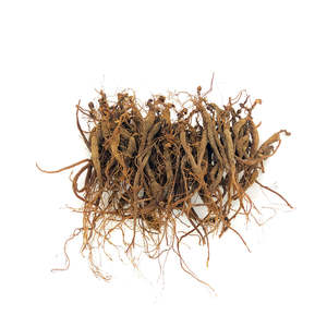 KiwiSeng Red Ginseng Value Pack | Wild-Grown 15+ Year New Zealand Panax Ginseng &hellip;