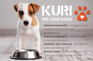 Is Raw Dog Food Safe for Puppies? A Comprehensive Guide for Pet Parents