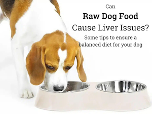 Can Raw Dog Food Cause Liver Issues?