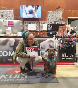 Puppy Training: Bonding with Your New Best Mate