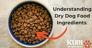 Understanding Dry Dog Food Ingredients: A Guide to Choosing the Best Dog Food