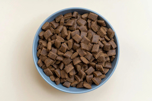 10 Homemade Dog Food Toppers to Improve Kibble Kuri Dog Care