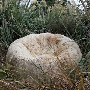 New Zealand Longwool Sheepskin Bean Bag (Filled) - Nappa