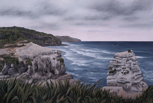 Muriwai – Gannet Colony
