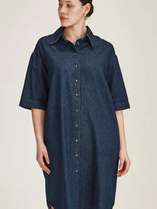 Alexa Denim Dress