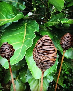 Corten Steel Ladybugs: Waikura Wand Trio NZ Artist
