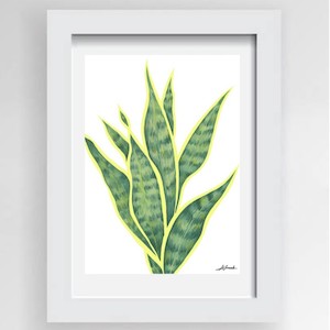 Botanical Print Snake Plant